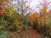 Ai faggi secolari del Menna dal Passo dell’orso ad anello da Zorzone – 27ott25   -  FOTOGALLERY